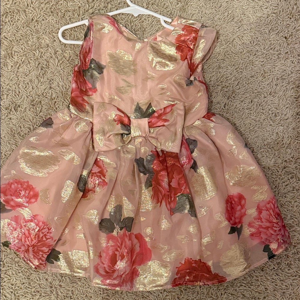 Gymboree Floral Pink and Gold Kids Dress